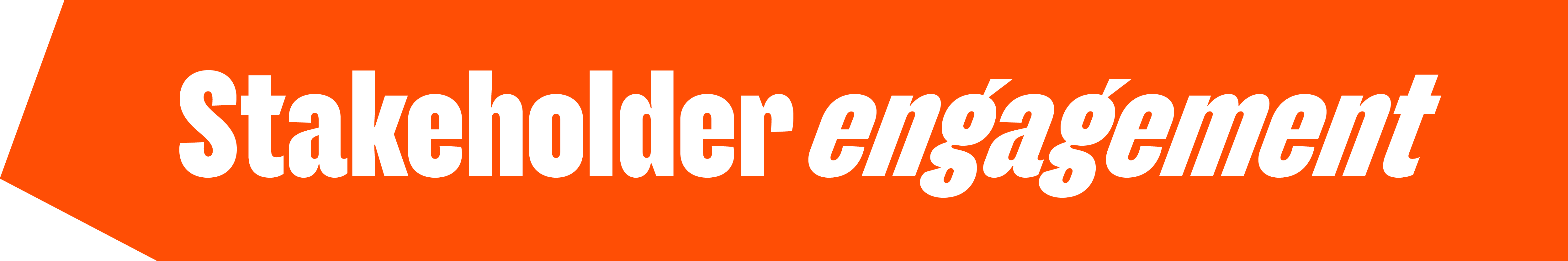 Stakeholder engagement header