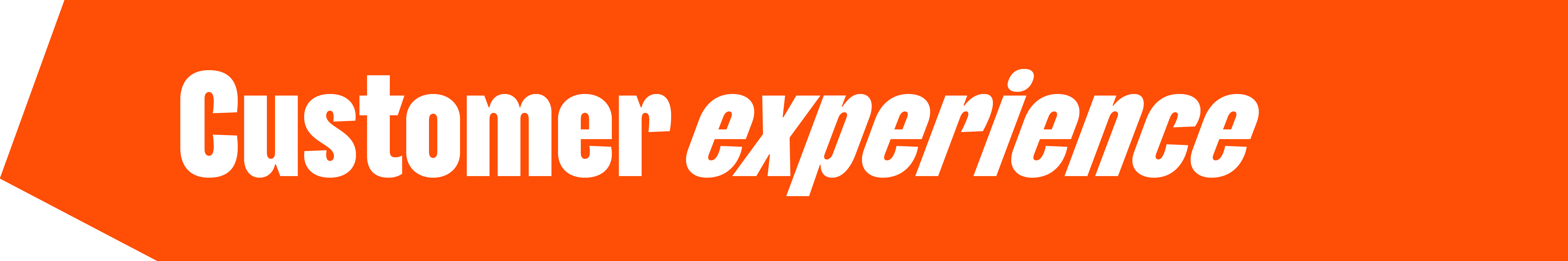 Customer experience header